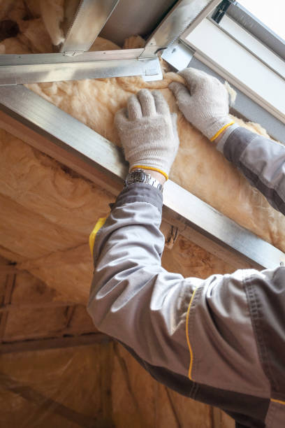 Best Specialized Insulation Services in St James, MN